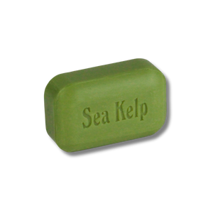 Sea Kelp