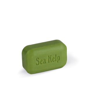 
            
                Load image into Gallery viewer, Sea Kelp
            
        